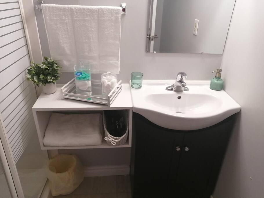 Appartement Cozy Nest Basement Unit à Hamilton Extérieur photo