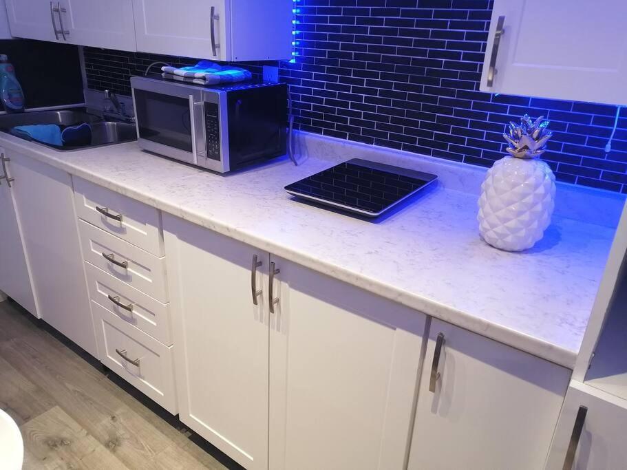 Appartement Cozy Nest Basement Unit à Hamilton Extérieur photo